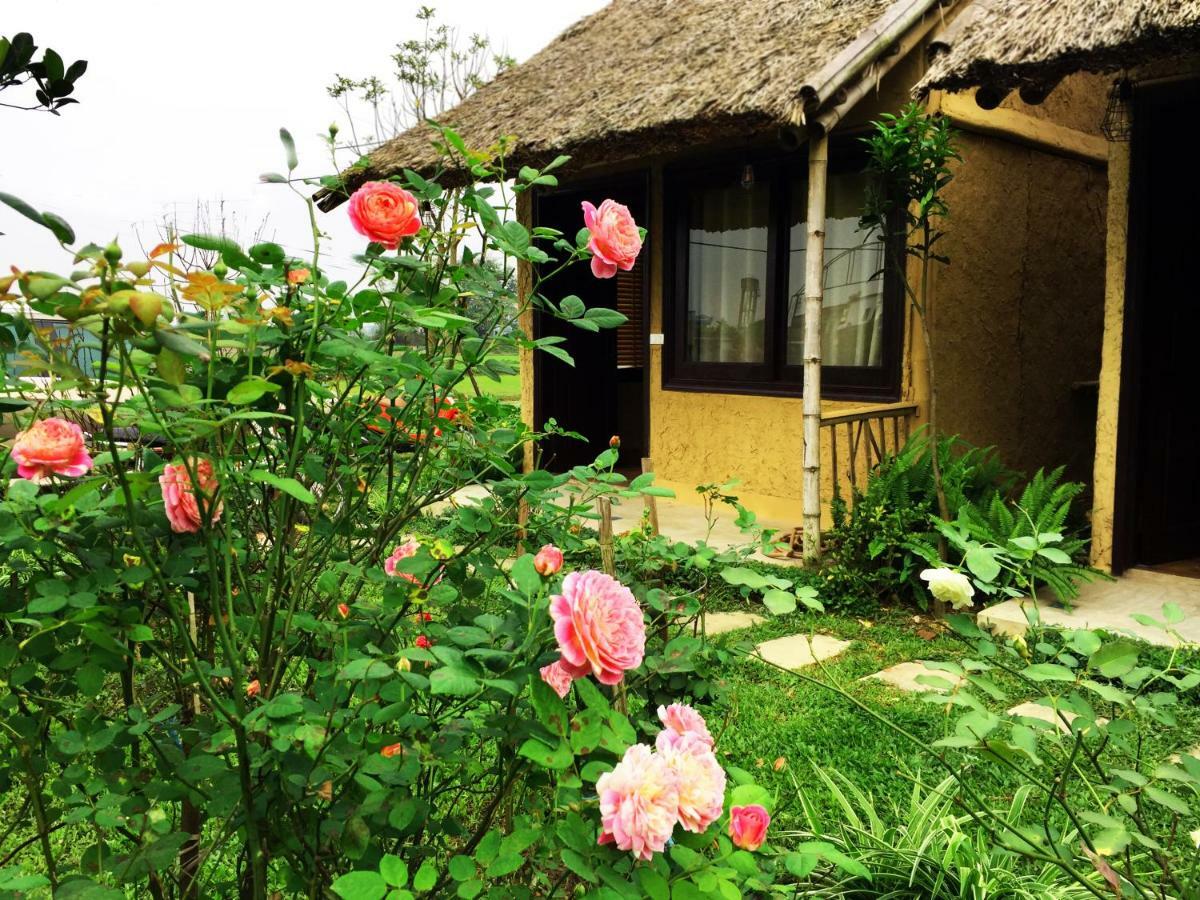 May Homestay - Tam Coc Local Village Ninh Binh Exteriér fotografie
