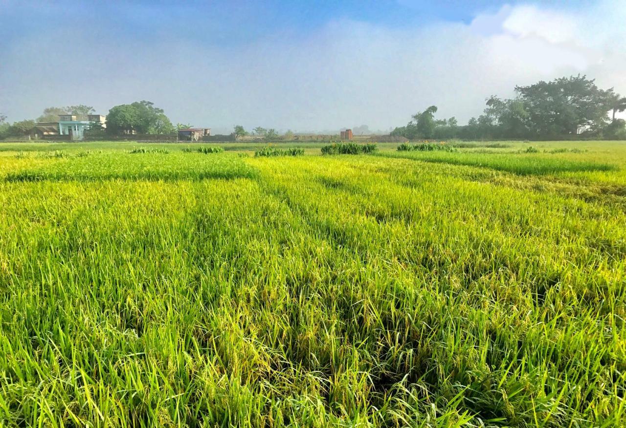 May Homestay - Tam Coc Local Village Ninh Binh Exteriér fotografie