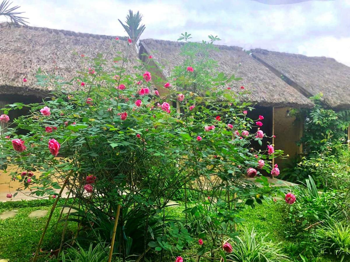 May Homestay - Tam Coc Local Village Ninh Binh Exteriér fotografie